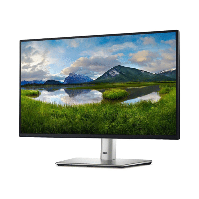 Dell 24" Monitor
